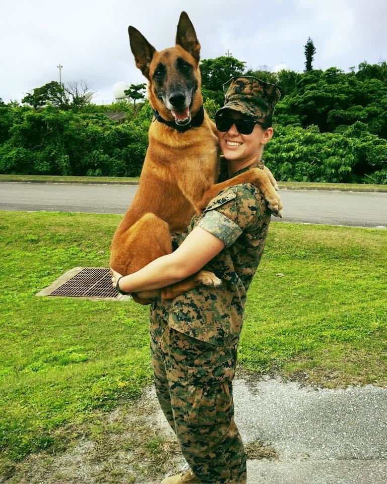 Handler, military working dog reunited in retirement