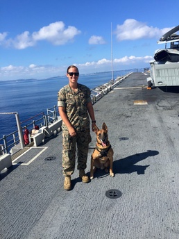 Handler, military working dog reunited in retirement