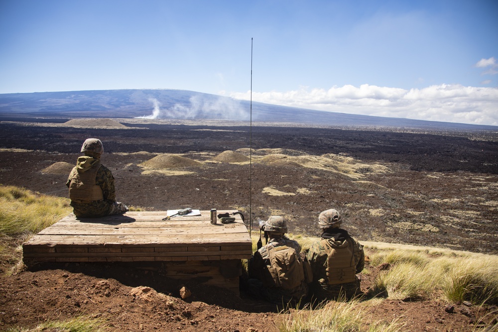 Steel Rain: Army, Marines Conduct Spartan Fury 21.1