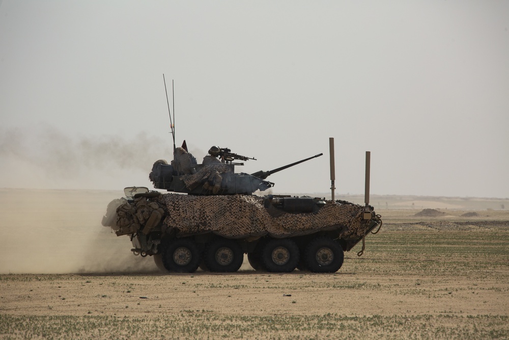 15th MEU LAR Detachment Marines conduct company attack in Kuwait