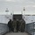 LANDCOM commander conducts terrain walk with Multinational Division North