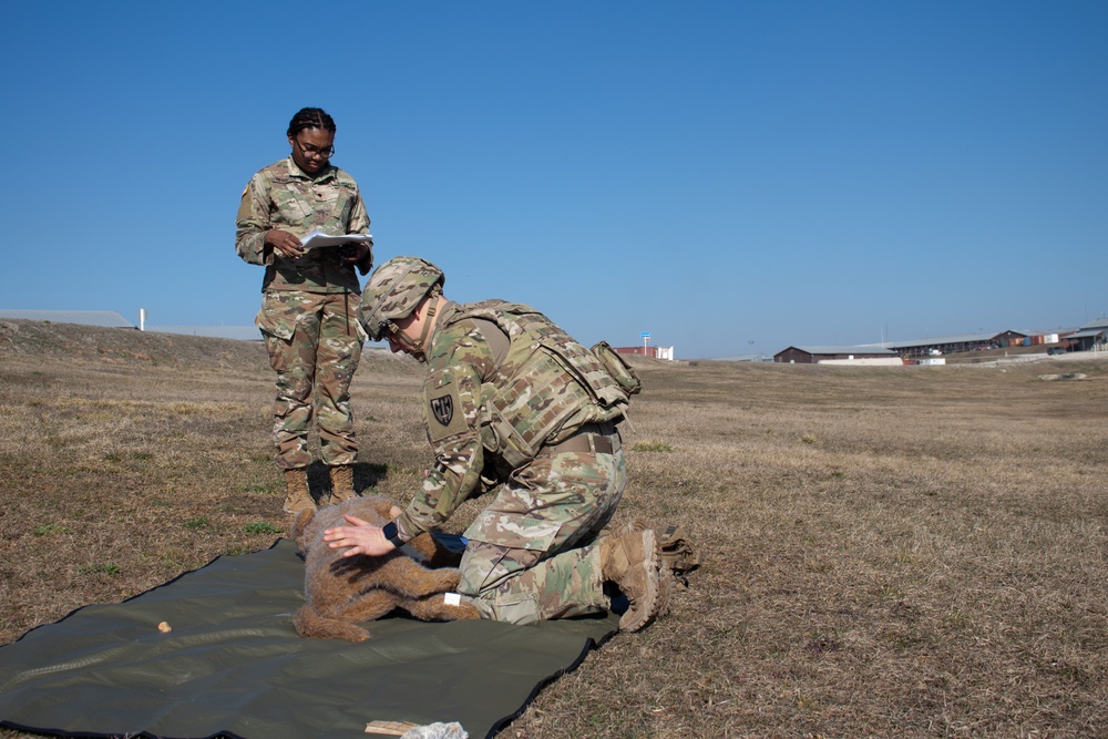 KFOR conducts K9 medical training