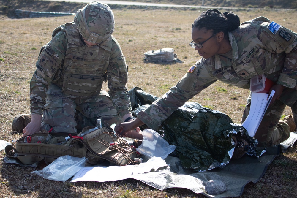 KFOR conducts K9 medical training