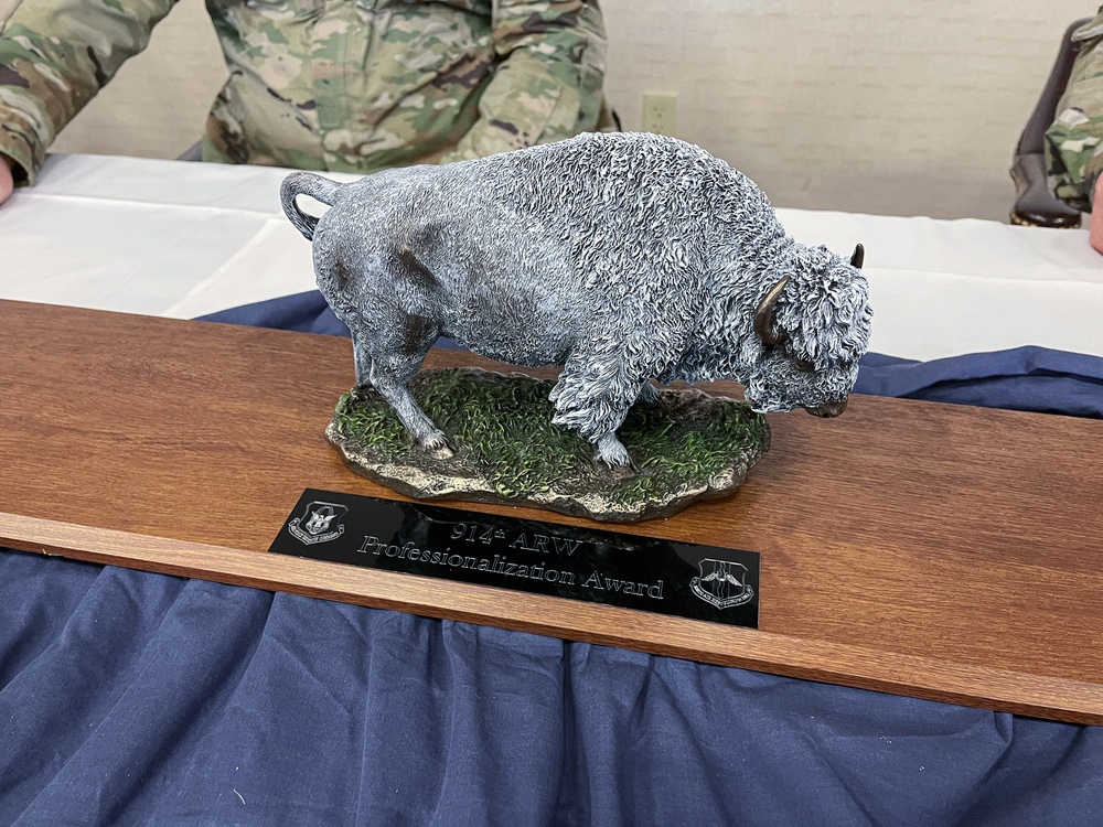 914th Air Refueling Wing Professionalization Award