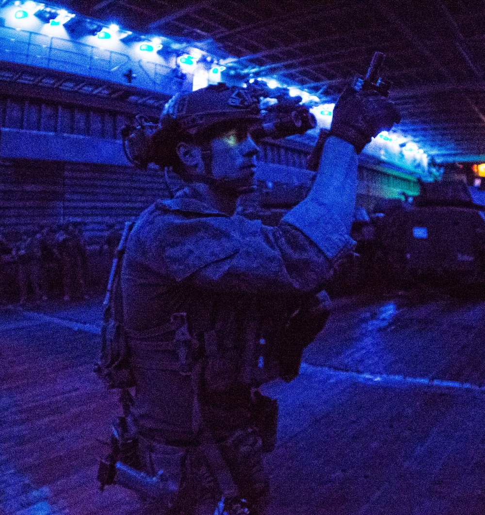 31st MEU MRF Dryfire Rehearsals