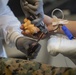 Camp Foster USO hosts blood drive