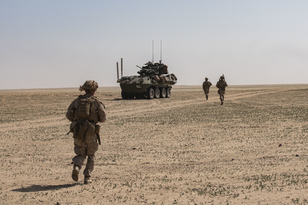 Light Armored Reconnaissance Detachment Marines conduct scout attacks