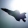 Heritage Flight Training Conference 2021