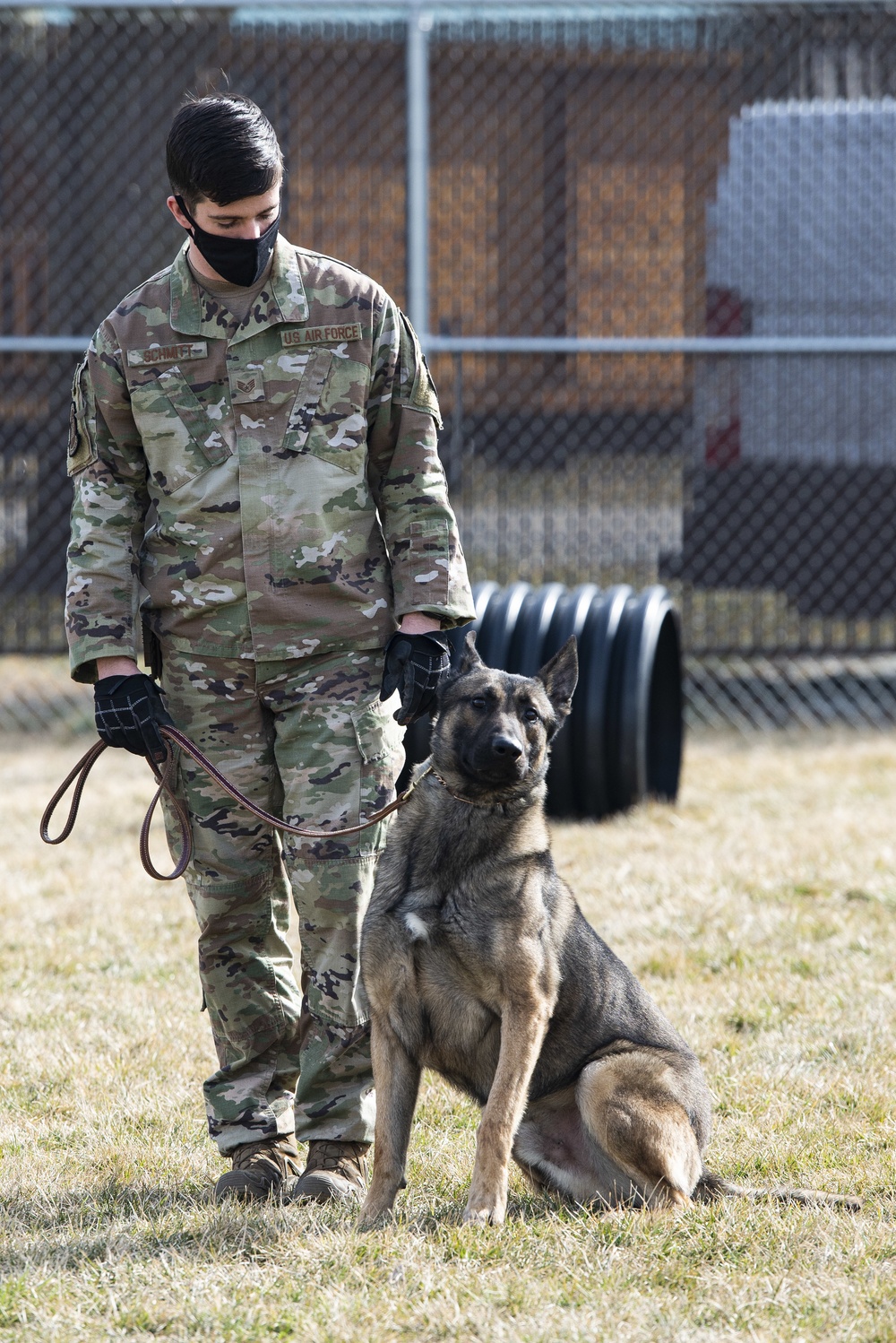 88 SFS Military Working Dogs