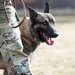 88 SFS Military Working Dogs