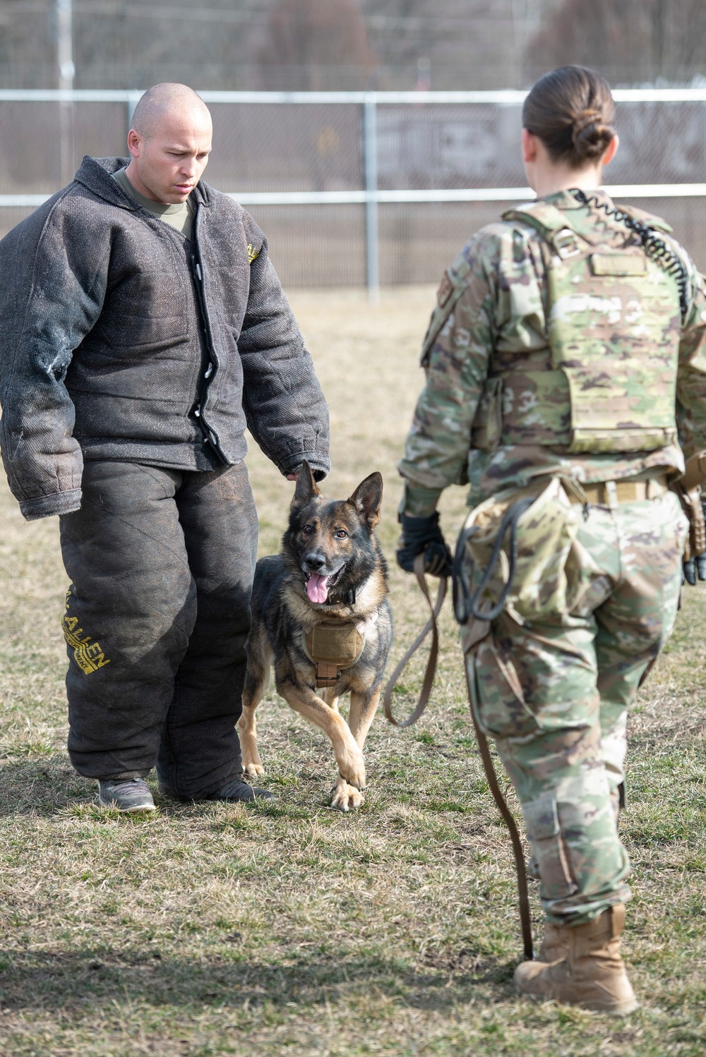 88 SFS Military Working Dogs