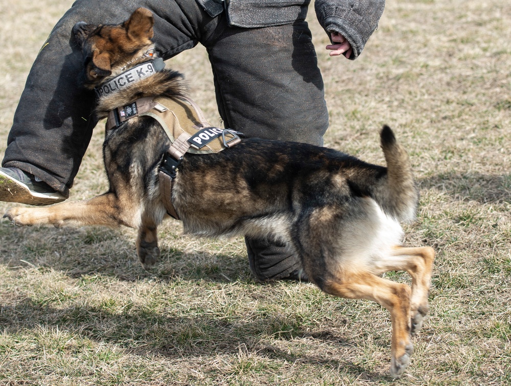 88 SFS Military Working Dogs