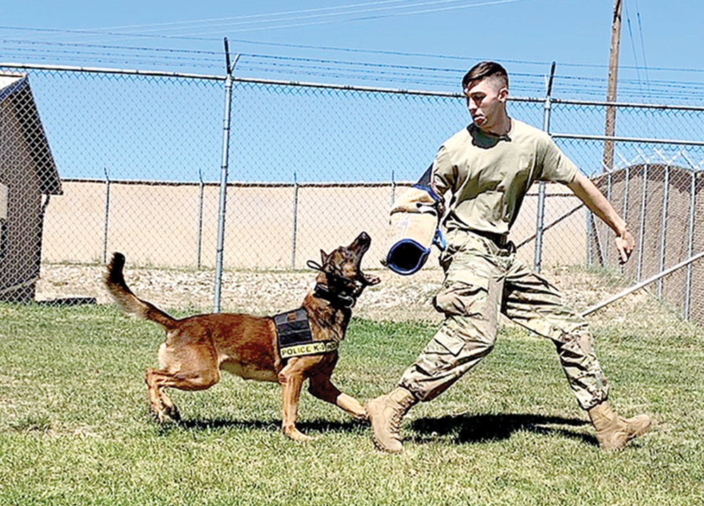 Carson’s unit snares top Army honor