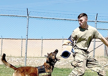 Carson’s unit snares top Army honor