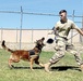 Carson’s unit snares top Army honor