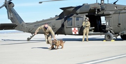 Carson’s unit snares top Army honor