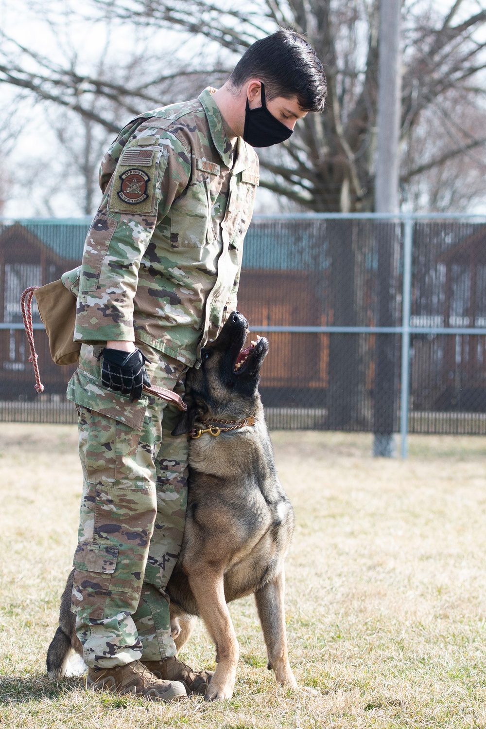 88 SFS Military Working Dogs