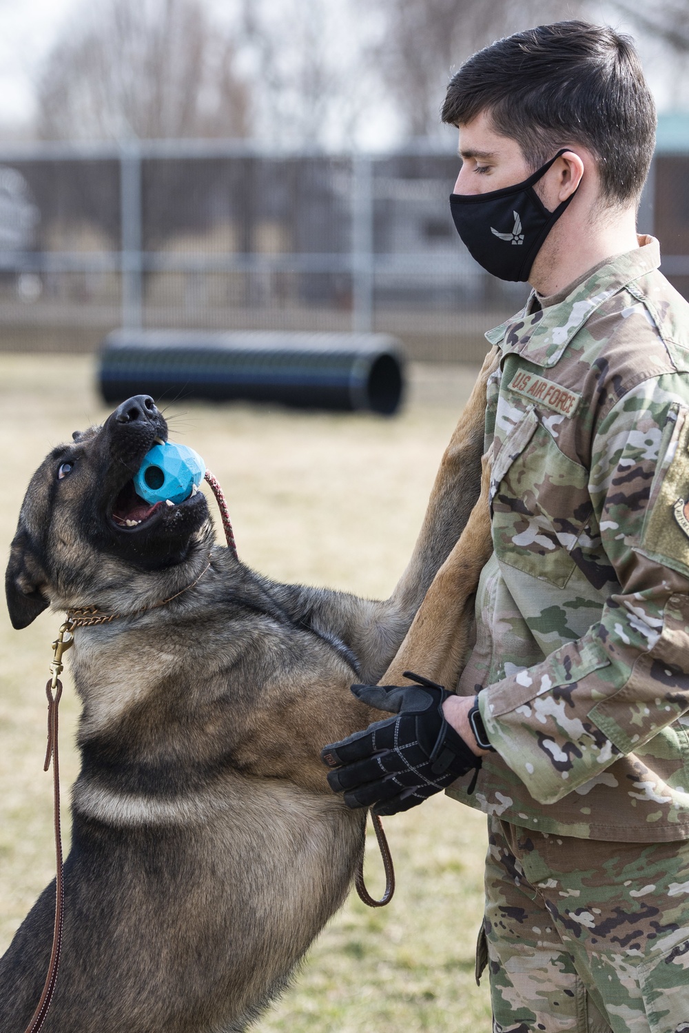 88 SFS Military Working Dogs