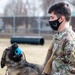 88 SFS Military Working Dogs