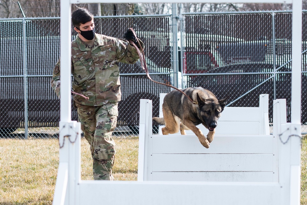 88 SFS Military Working Dogs