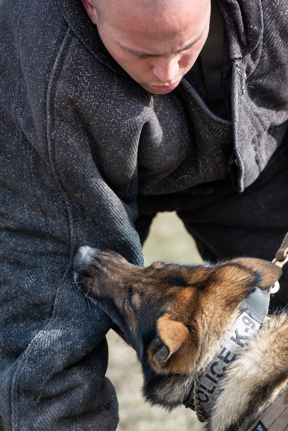 88 SFS Military Working Dogs