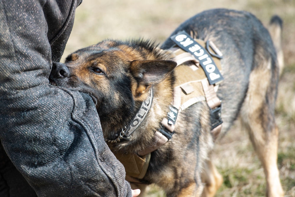 88 SFS Military Working Dogs