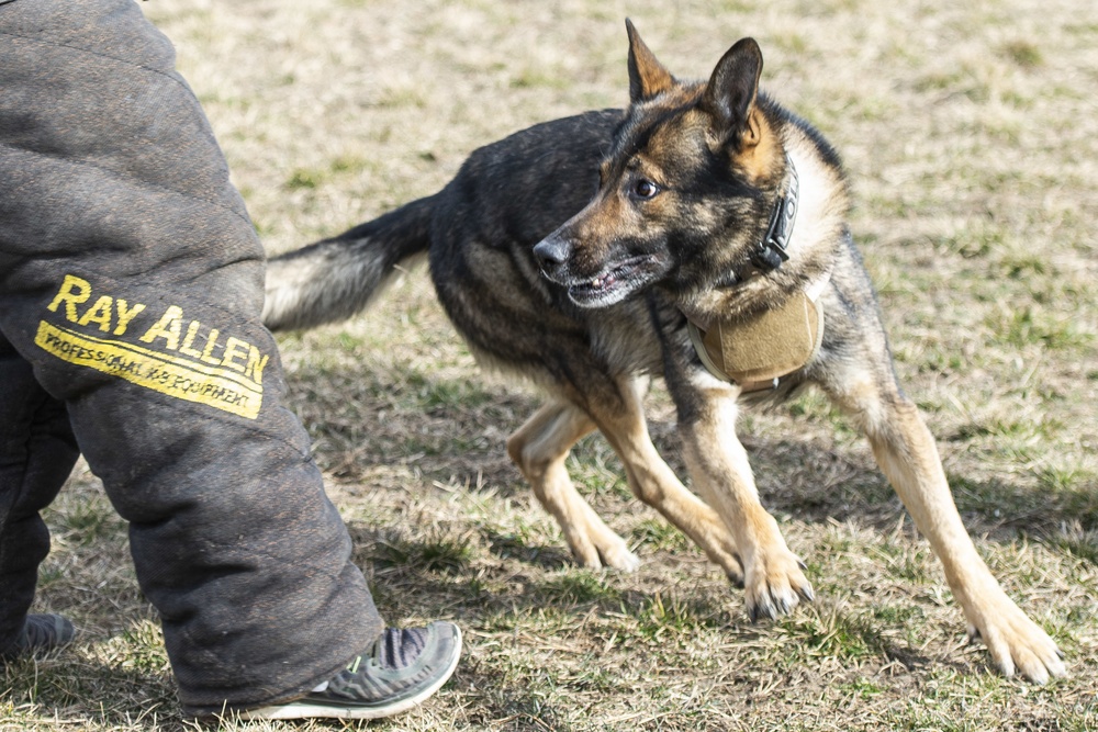 88 SFS Military Working Dogs