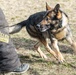 88 SFS Military Working Dogs