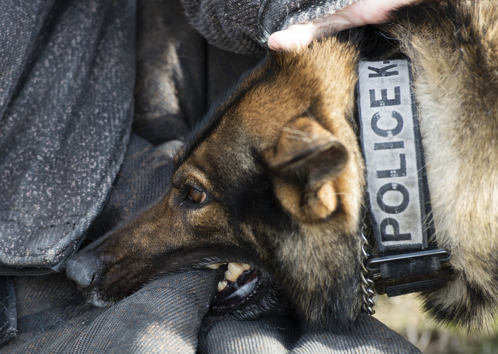 88 SFS Military Working Dogs