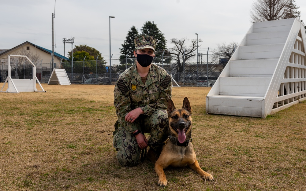 Naval Air Facility Atsugi Military Working Dog Handler