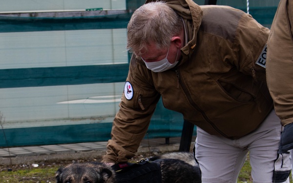 KFOR military working dog handlers train with MAT Kosovo