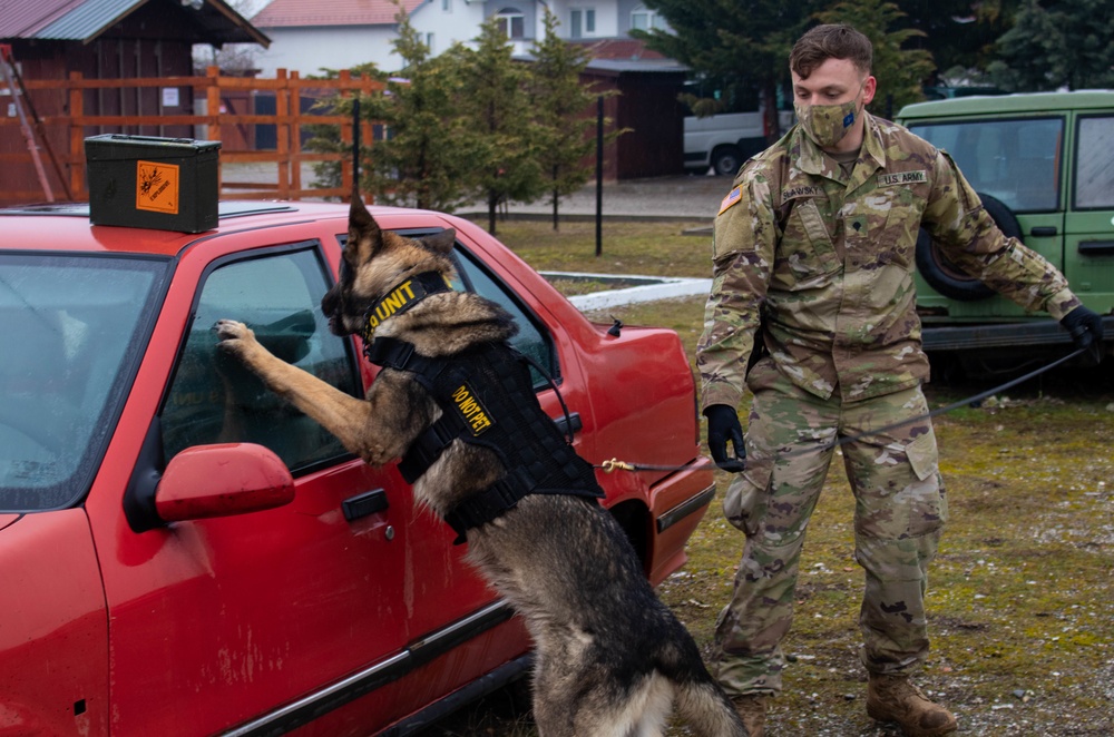 KFOR military working dog handlers train with MAT Kosovo