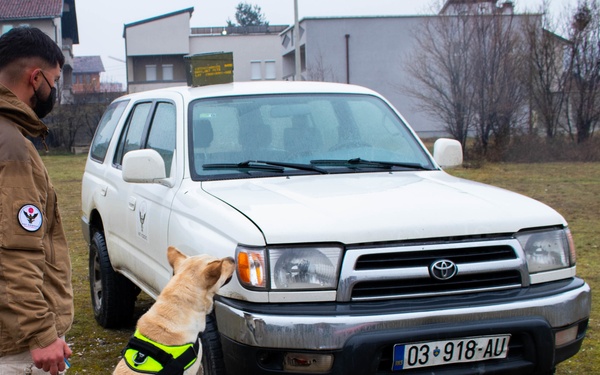 KFOR military working dog handlers train with MAT Kosovo