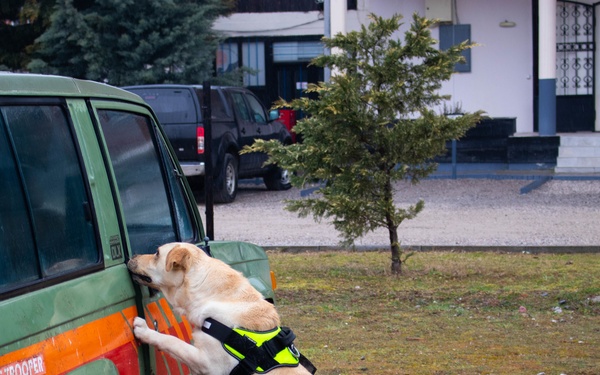 KFOR military working dog handlers train with MAT Kosovo