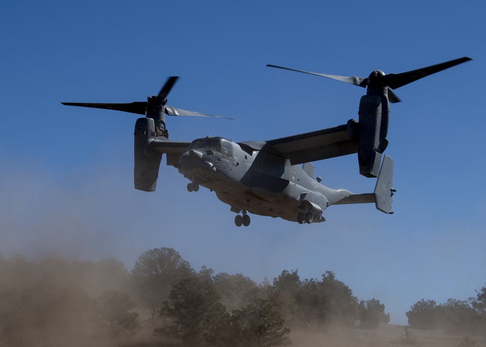 black and grey air force 1 low