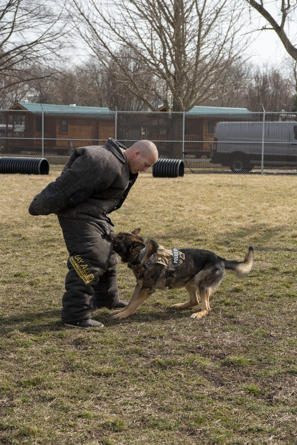 National K9 Veterans Day