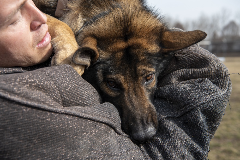 National K9 Veterans Day