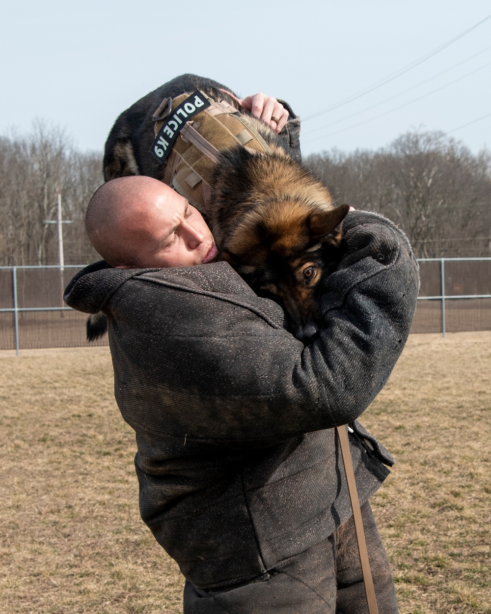 National K9 Veterans Day