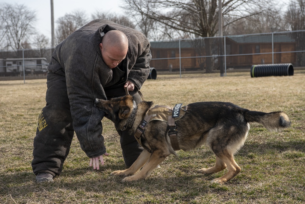 National K9 Veterans Day