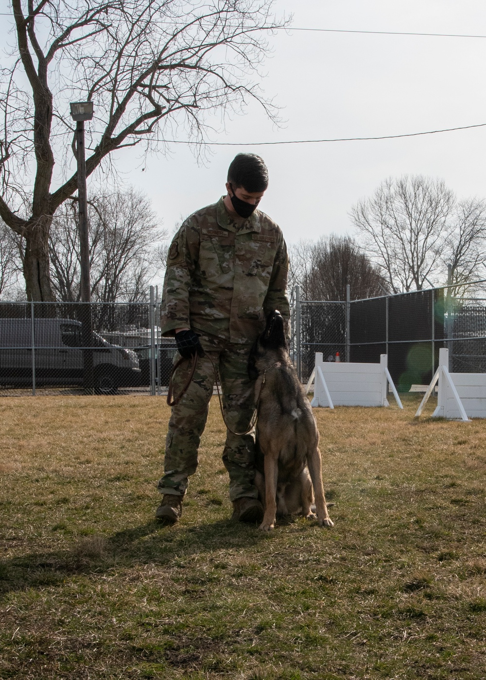 National K9 Veterans Day