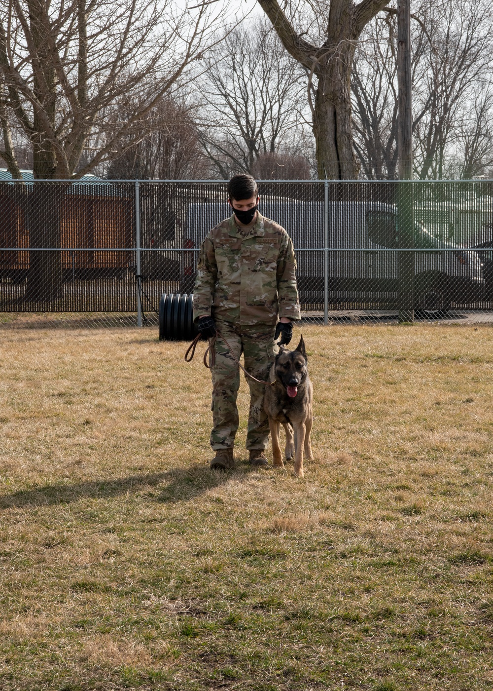 National K9 Veterans Day