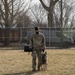 National K9 Veterans Day