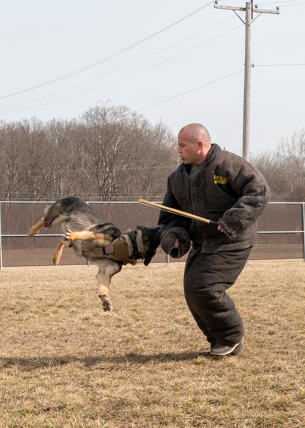 National K9 Veterans Day