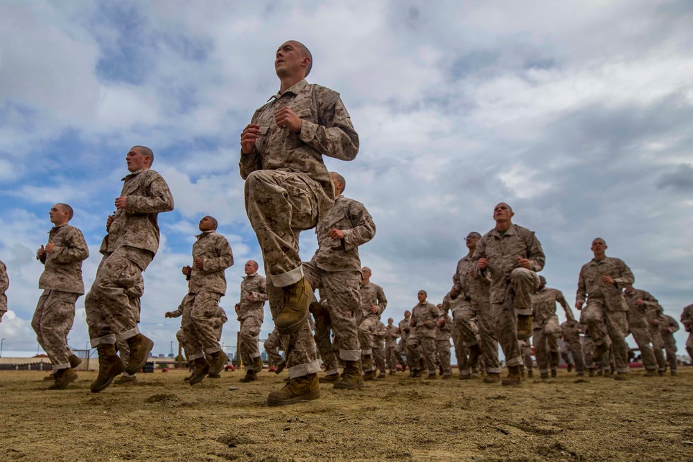 Bravo Company Combat Conditioning Course