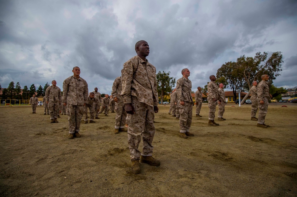 Bravo Company Combat Conditioning Course