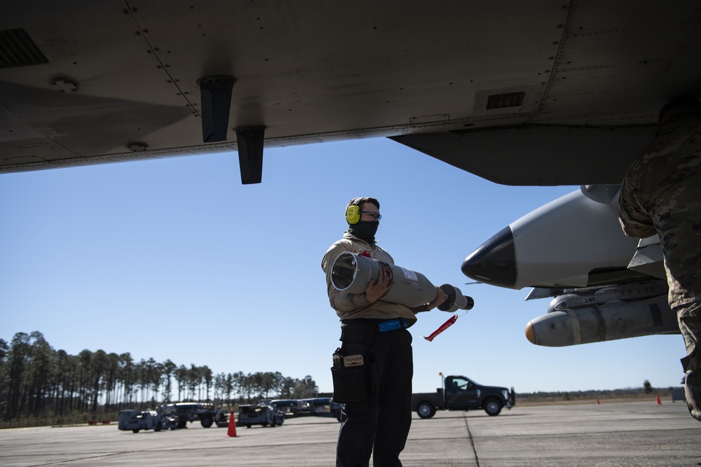 23d WG Airmen participate in Mosaic Tiger