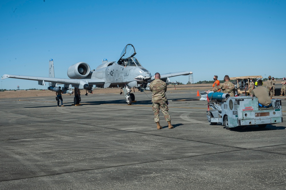 23d WG Airmen participate in Mosaic Tiger