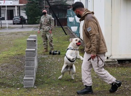 KFOR military working dog handlers train with MAT Kosovo