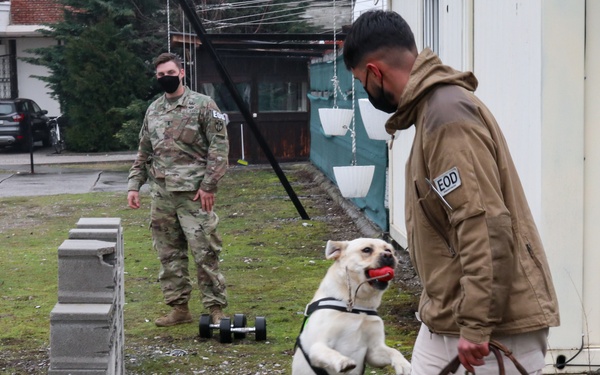 KFOR military working dog handlers train with MAT Kosovo