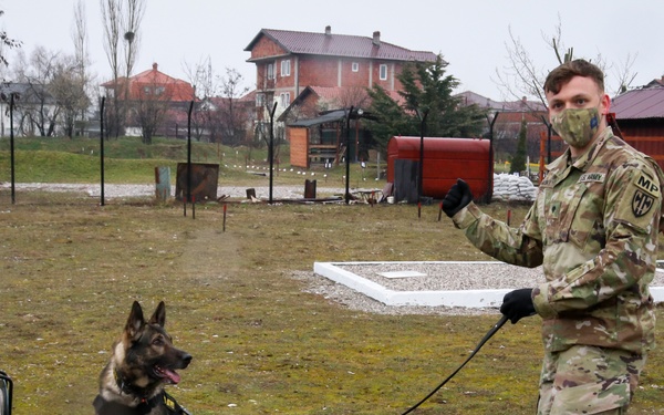 KFOR military working dog handlers train with MAT Kosovo